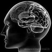 El tratamiento del síndrome de Meniere Betahistine Dihydrochloride